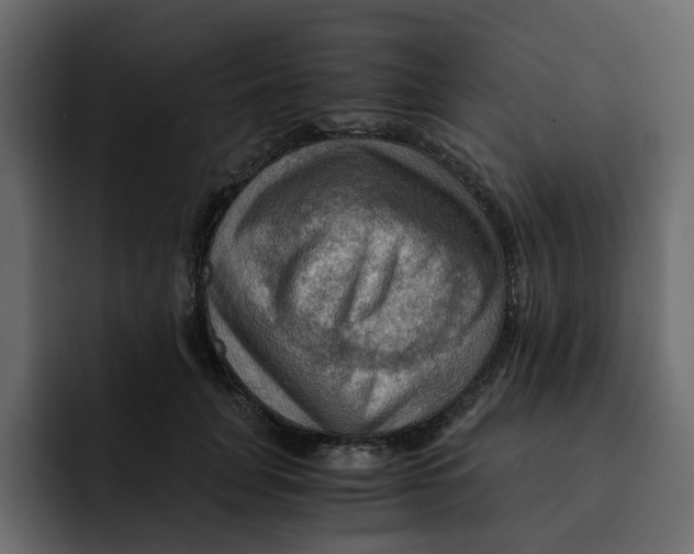 X0000092000751200710041007