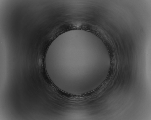 X0000092000754200710041007