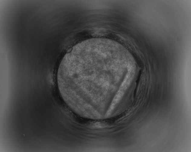 X0000092000755200710041007