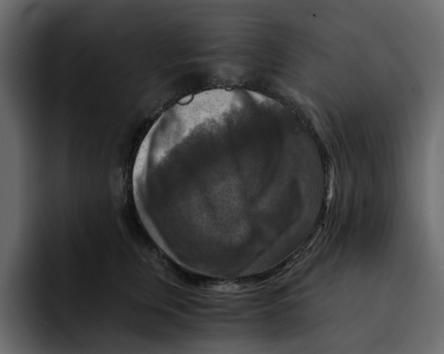 X0000092000759200710041007