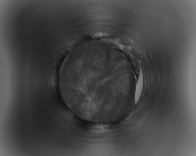 X0000092000760200710041007