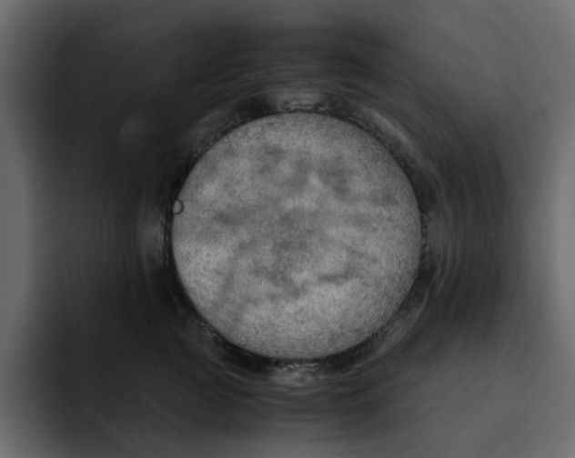 X0000092000761200710041007