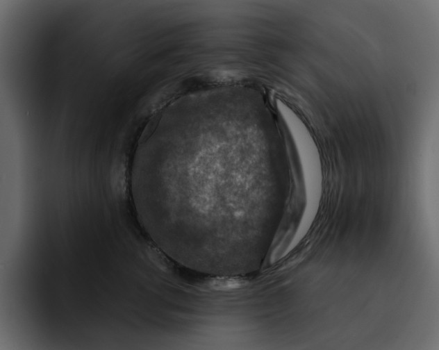 X0000092000762200710041007