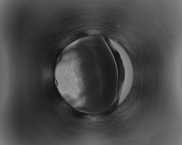 X0000092000763200710041007