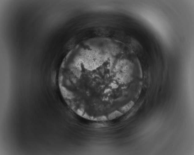 X0000092000765200710041007