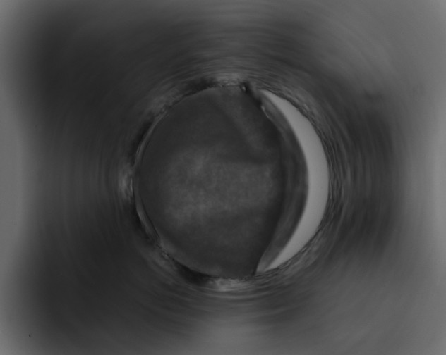 X0000092000766200710041007