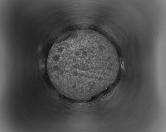 X0000092000771200710041007