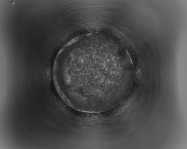 X0000092000772200710041007