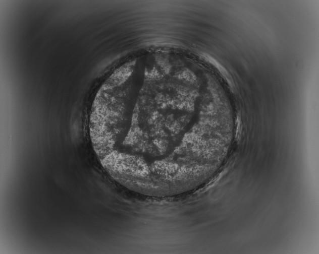 X0000092000775200710041007