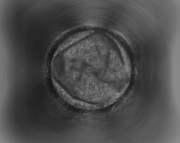 X0000092000776200710041007