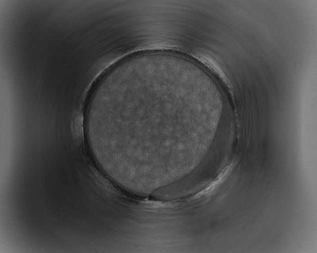 X0000092000781200710041007