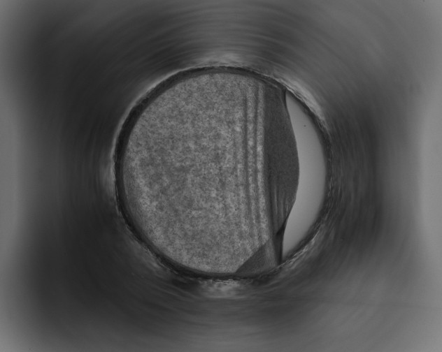 X0000092000784200710041007