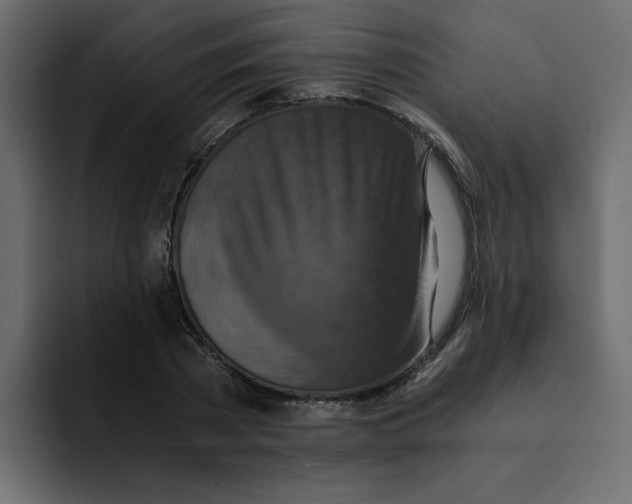 X0000092000785200710041007