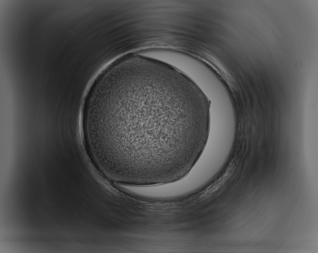 X0000092000788200710041007