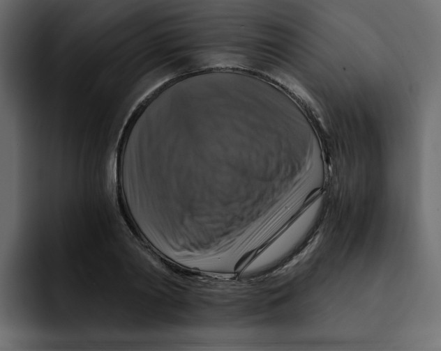 X0000092000790200710041007