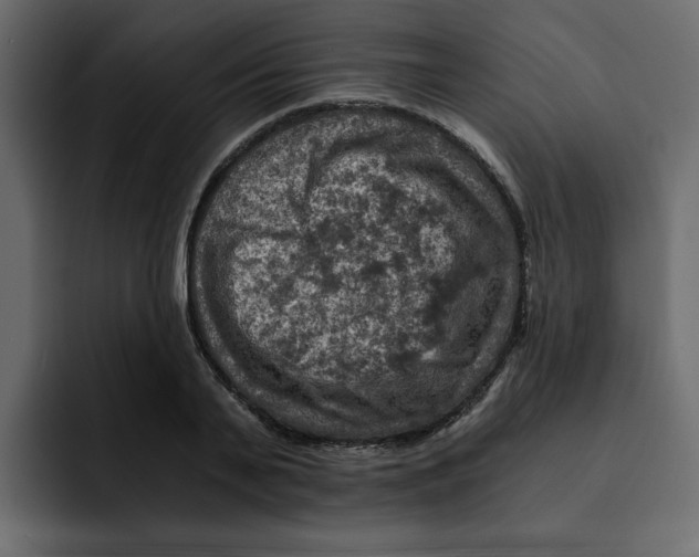 X0000092000791200710041007