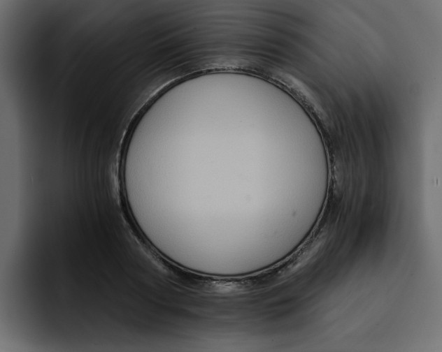 X0000092000794200710041007