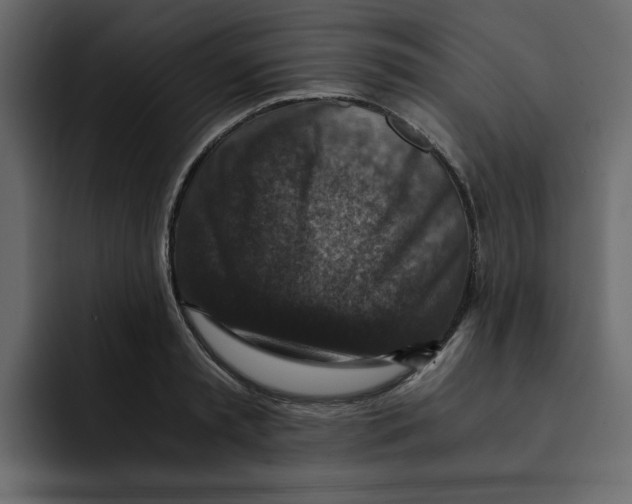 X0000092000797200710041006