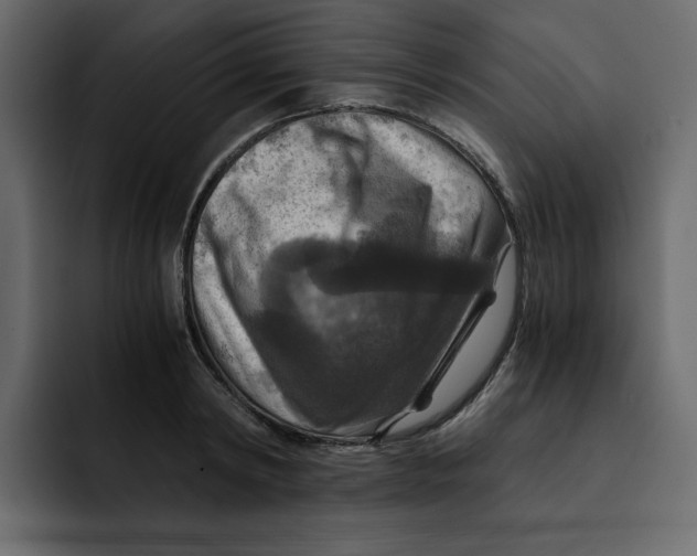 X0000092000798200710041006