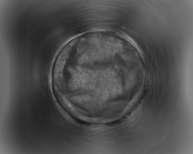 X0000092000811200710041006