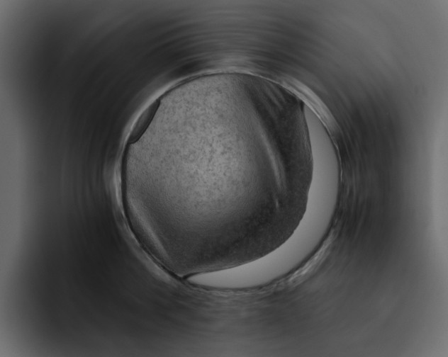 X0000092000812200710041006