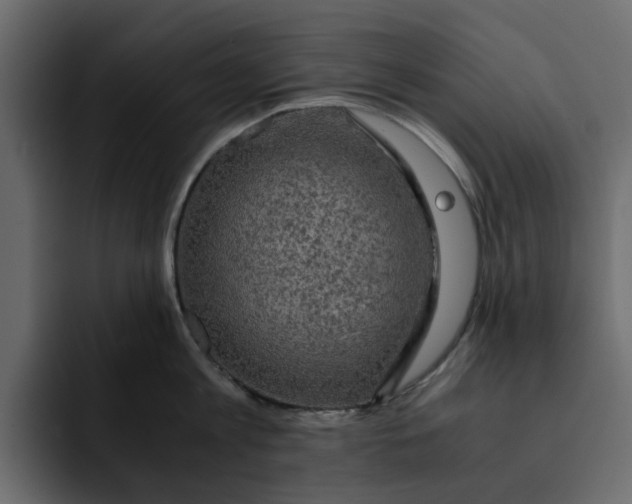 X0000092000813200710041006