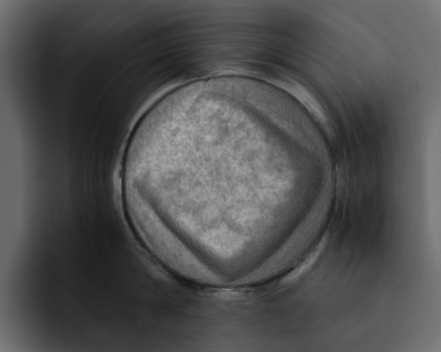 X0000092000814200710041006