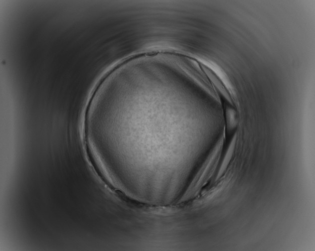 X0000092000815200710041006