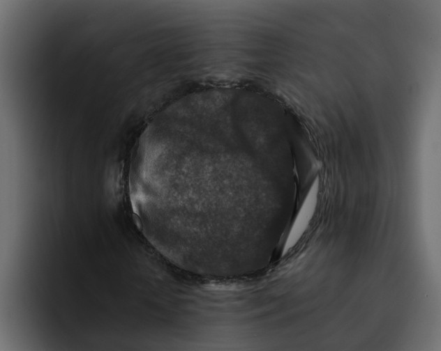 X0000092000818200710041006