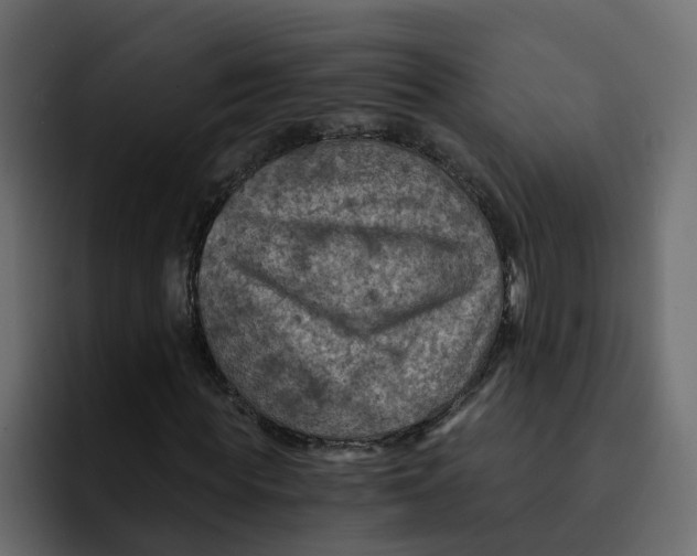 X0000092000819200710041006