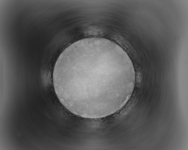 X0000092000820200710041006