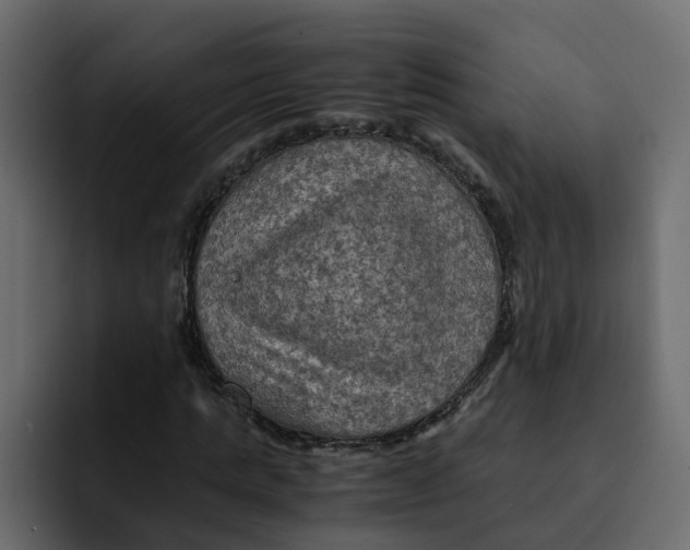 X0000092000821200710041006