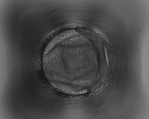 X0000092000822200710041006