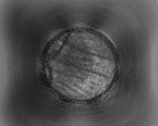 X0000092000823200710041006