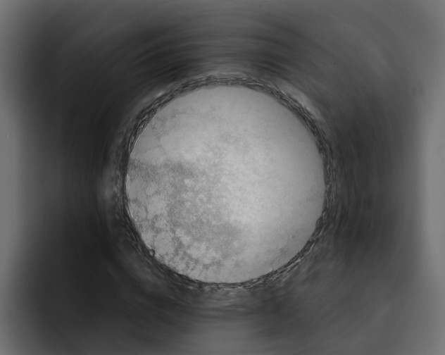 X0000092000824200710041006