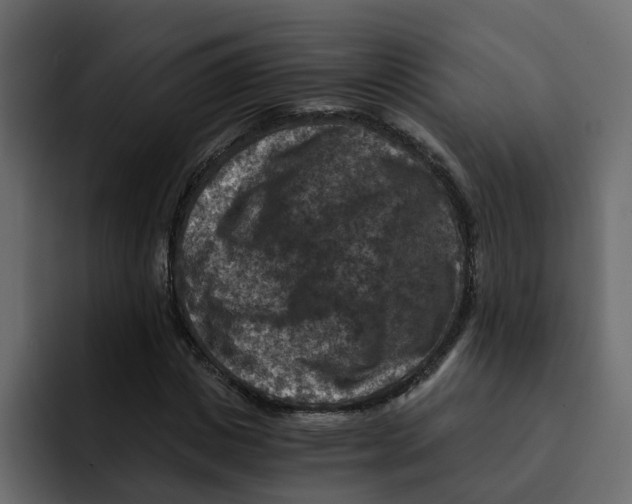 X0000092000825200710041006