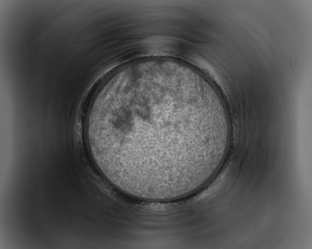 X0000092000827200710041006