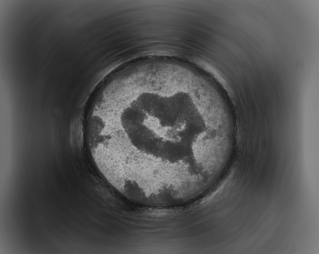 X0000092000829200710041006