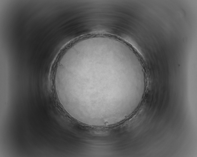 X0000092000832200710041006