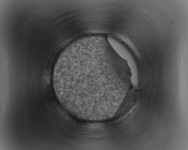 X0000092000833200710041006