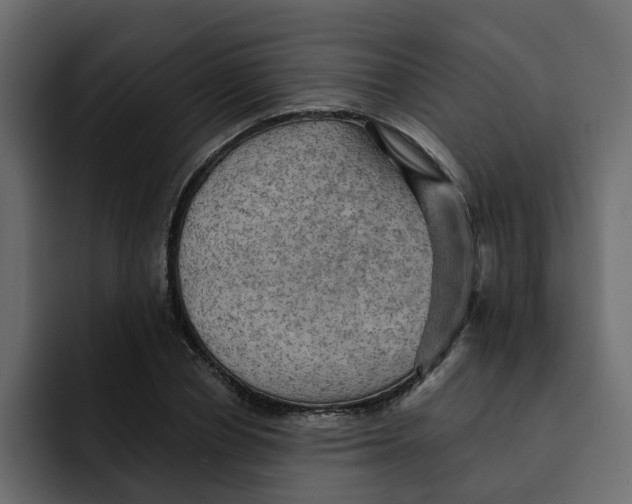 X0000092000834200710041006