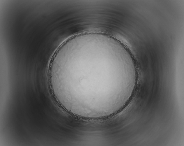 X0000092000836200710041006