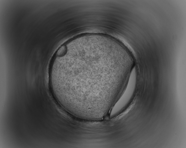 X0000092000837200710041006