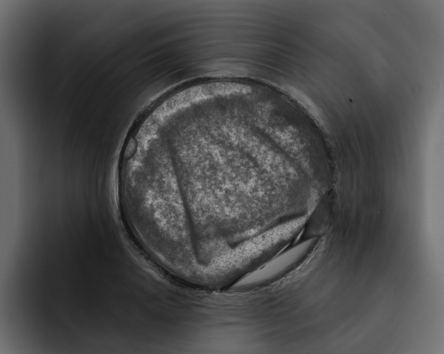 X0000092000840200710041006