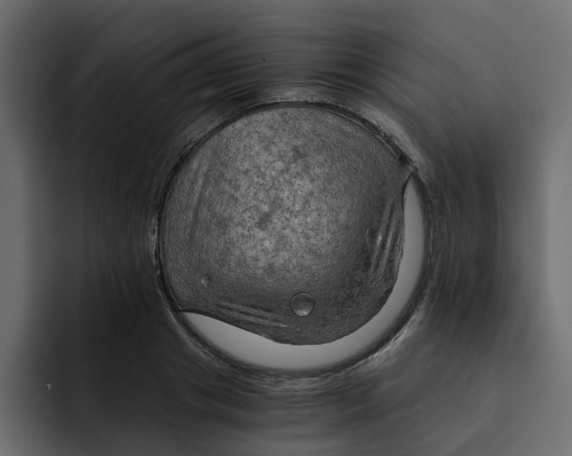 X0000092000841200710041006