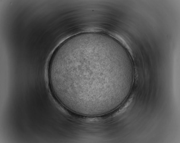 X0000092000843200710041006