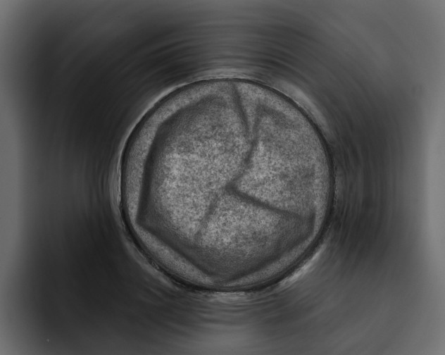 X0000092000844200710041006