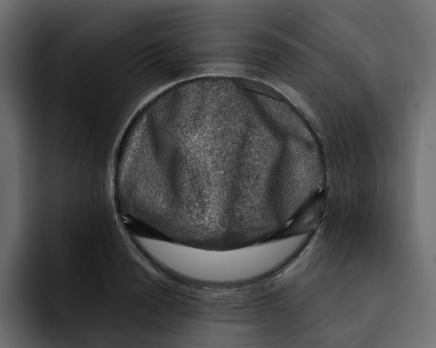 X0000092000846200710041006