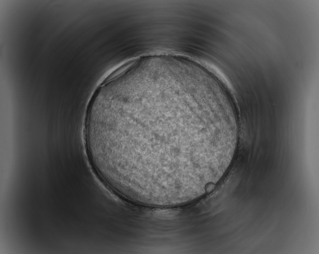 X0000092000847200710041006