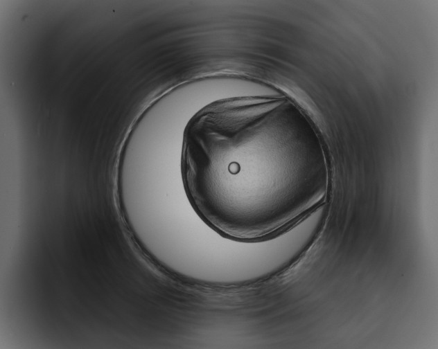 X0000092000850200710041006